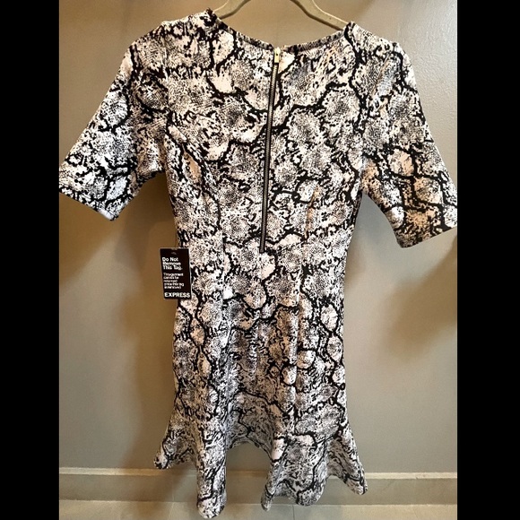 EXPRESS skater dress - Picture 2 of 4